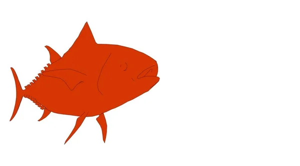 Очерченная рыба, выделенная на белом трехмерном изображении — стоковое фото