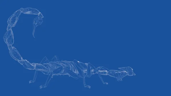 3d renderização de um escorpião delineado — Fotografia de Stock