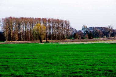 Alman köyü behinde yeşil alan