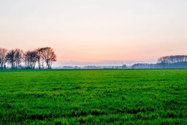 Német Village behinde egy zöld mező — Stock Fotó