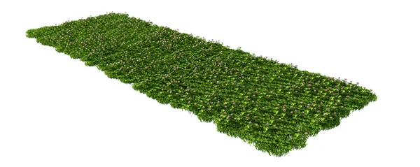 3d візуалізація трав'яного клаптику ізольовано на білому для архітектури — стокове фото