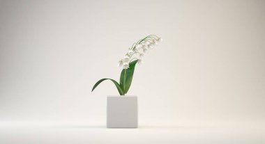 saksıyı iç ya da kavramsal tasarımı için 3D render