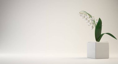 saksıyı iç ya da kavramsal tasarımı için 3D render