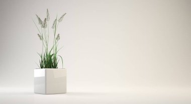 saksıyı iç ya da kavramsal tasarımı için 3D render