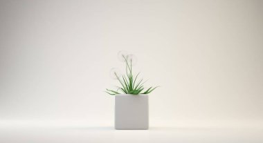 saksıyı iç ya da kavramsal tasarımı için 3D render