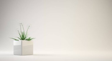 saksıyı iç ya da kavramsal tasarımı için 3D render