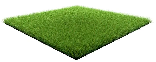 3D işleme mimarisi için beyaz izole çim düzeltme eki