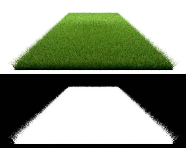 Renderowania 3D patch trawy na białym tle na białym dla architektury — Zdjęcie stockowe
