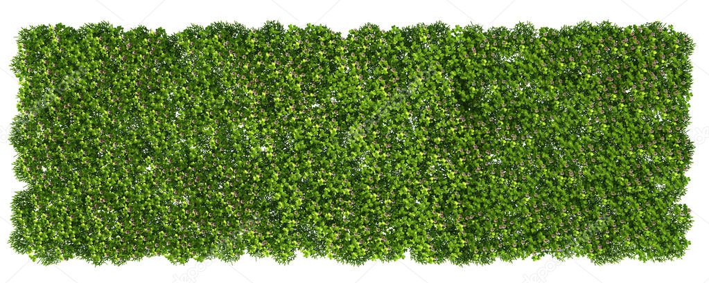 3d rendering of a grass patch isolated on white for architecture
