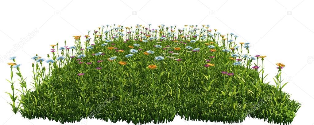 Green grass with flowers. isolated on white background 3d render