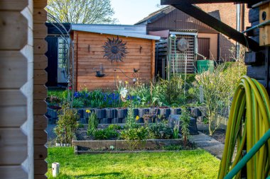 Bahar bitki ve çiçek Almanya Avrupa ile yeşil bahçe