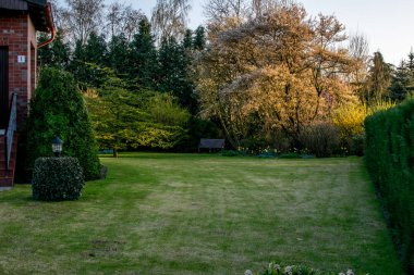 Bahar bitki ve çiçek Almanya Avrupa ile yeşil bahçe