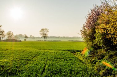 günbatımı güzel manzaralı, büyük uzun yeşil alan