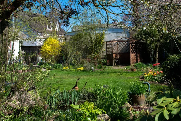 Jardim verde na primavera com plantas e flores na Alemanha Europa — Fotografia de Stock