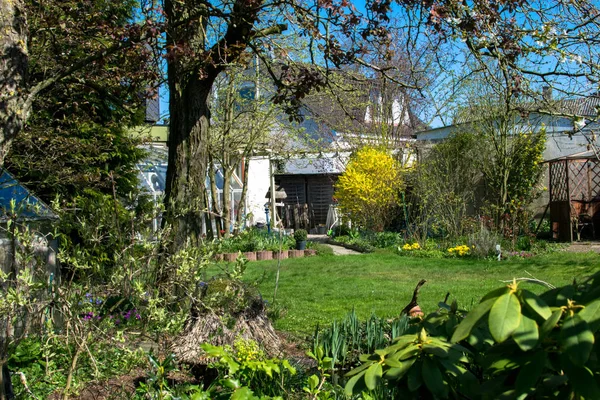 Jardín verde en primavera con plantas y flores en Alemania Europa —  Fotos de Stock