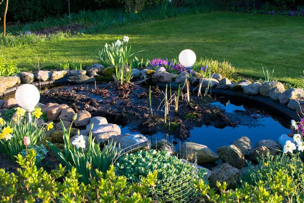 Green garden at spring with plants and flower in Germany Europe — Stock Photo, Image