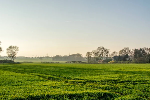 Grand long champ vert au coucher du soleil avec belle vue — Photo