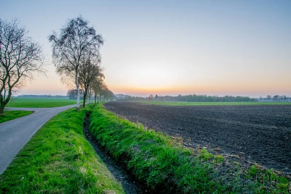 A naplemente, gyönyörű kilátással a nagy hosszú zöld mező — Stock Fotó