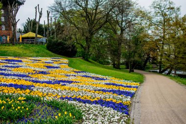 renkli çiçekler önalan ile yel değirmeni