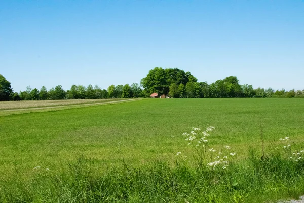 Prachtige groene natuur in Europa uit de weg — Stockfoto