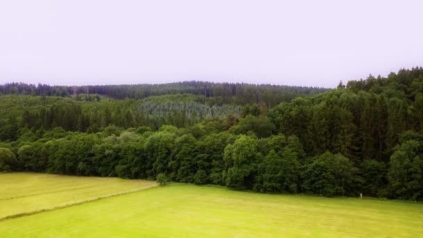 Filmische shot van een groen veld — Stockvideo