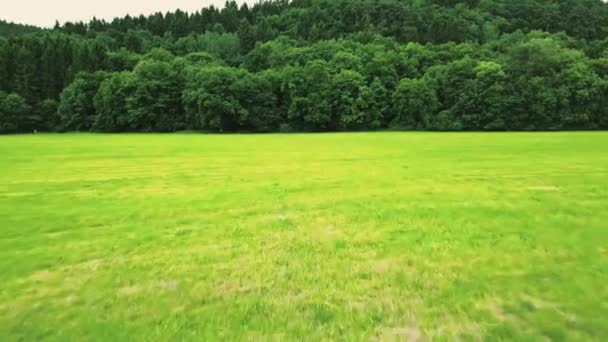 Cinematic shot of a green field — стоковое видео