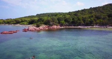 Corsica Adası insanlar Yüzme 