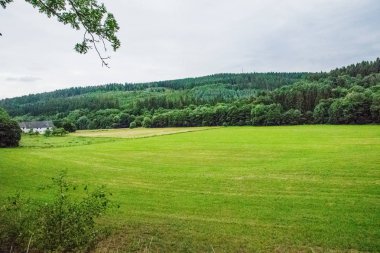 Avrupa'nın parlak bir günde yeşil elemanları ile güzel bir manzara