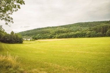 Avrupa'nın parlak bir günde yeşil elemanları ile güzel bir manzara
