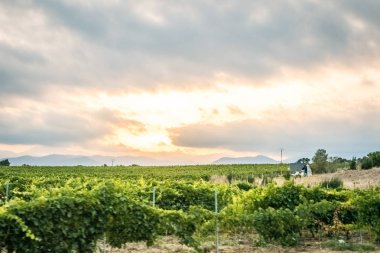 güneşli bir günde Eur görünümü su ve doğal elemanları ile rahatlatıcı