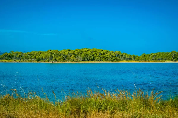 Relajante vista con agua y elementos naturales en un día soleado Eur —  Fotos de Stock