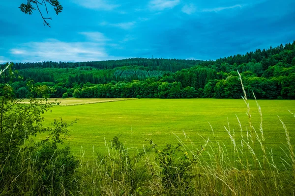 美丽的景色与上灿烂的一天在欧洲的绿色元素 — 图库照片