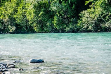 güneşli bir günde Eur görünümü su ve doğal elemanları ile rahatlatıcı