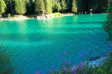 güneşli bir günde Eur görünümü su ve doğal elemanları ile rahatlatıcı