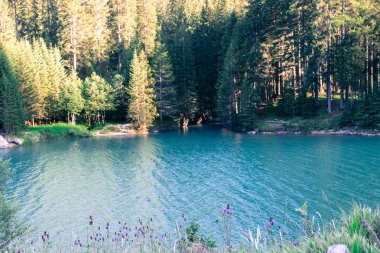 güneşli bir günde Eur görünümü su ve doğal elemanları ile rahatlatıcı