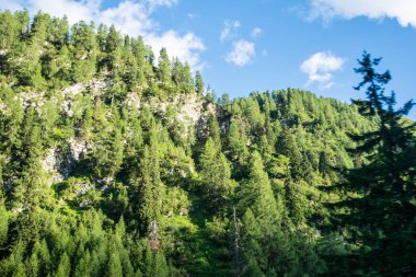 Avrupa'nın parlak bir günde yeşil elemanları ile güzel bir manzara