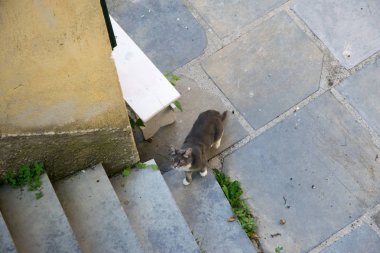 güneşli bir günde bir bina ile Avrupa'nın bir görünüm