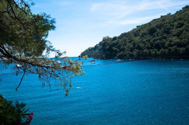 güneşli bir günde Eur görünümü su ve doğal elemanları ile rahatlatıcı