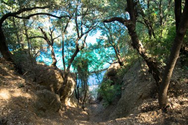 güneşli bir günde Eur görünümü su ve doğal elemanları ile rahatlatıcı