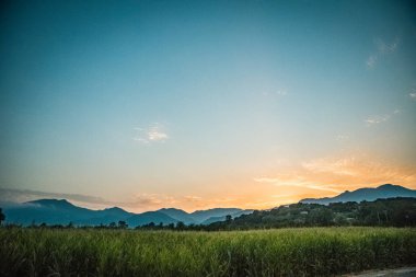 Avrupa'nın parlak bir günde yeşil elemanları ile güzel bir manzara