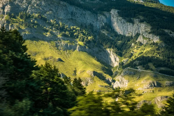 Сцена с зелеными элементами в яркий день в Европе — стоковое фото