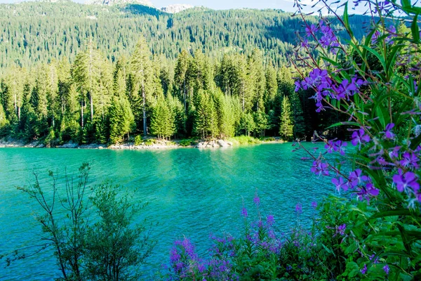 Vista relaxante com água e elementos naturais em um dia ensolarado Eur — Fotografia de Stock