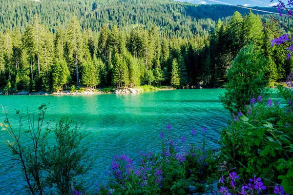 Relajante vista con agua y elementos naturales en un día soleado Eur — Foto de Stock