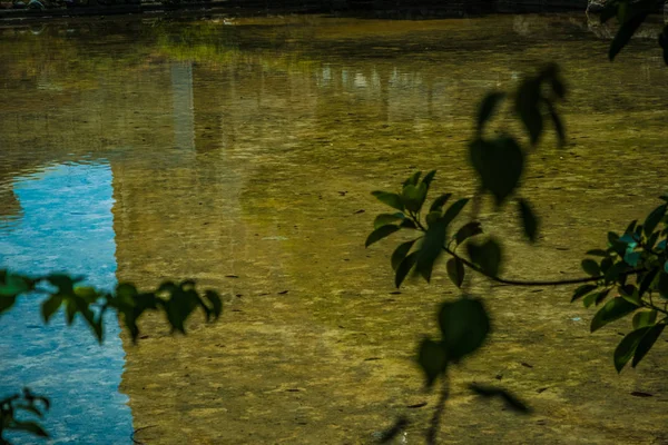 Ontspannen met water en natuurlijke elementen in een zonnige dag Eur — Stockfoto