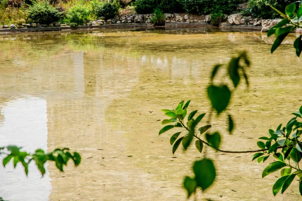 Entspannende Aussicht mit Wasser und natürlichen Elementen an einem sonnigen Tag eur — Stockfoto