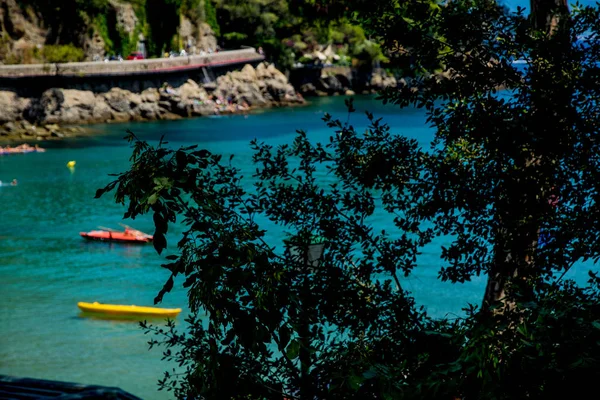 Relajante vista con agua y elementos naturales en un día soleado Eur — Foto de Stock