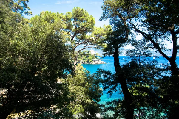 Relajante vista con agua y elementos naturales en un día soleado Eur — Foto de Stock