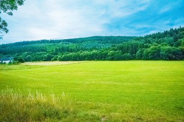Avrupa'nın parlak bir günde yeşil elemanları ile güzel bir manzara