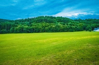 Avrupa'nın parlak bir günde yeşil elemanları ile güzel bir manzara