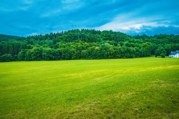 Avrupa'nın parlak bir günde yeşil elemanları ile güzel bir manzara